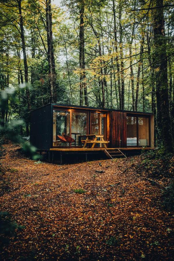Villa Outscape L Refugios Puerto Fuy, Huilo Huilo Esterno foto